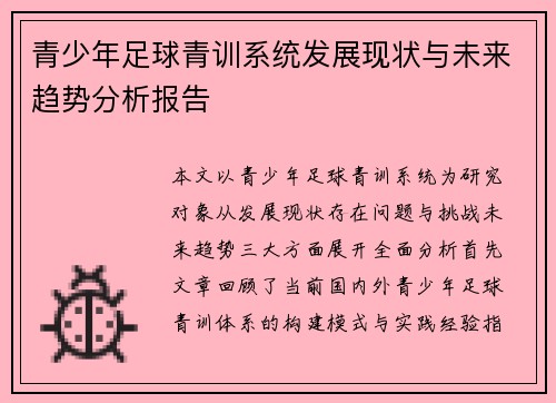 青少年足球青训系统发展现状与未来趋势分析报告